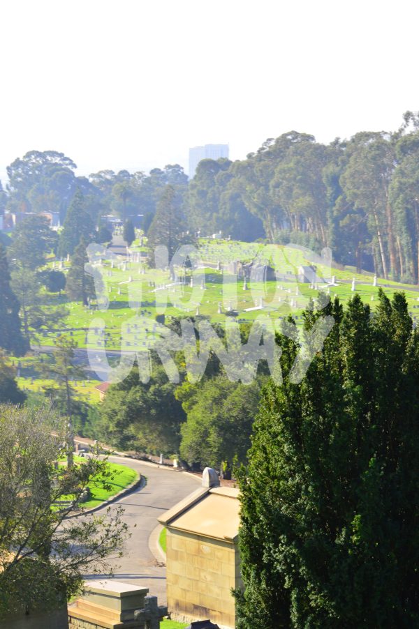 Cemetery View