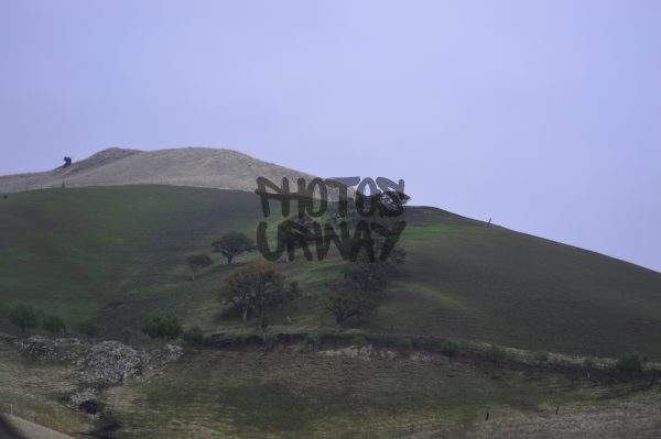 Brushy Peak Hike