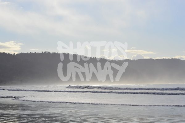 Oregon Coast View