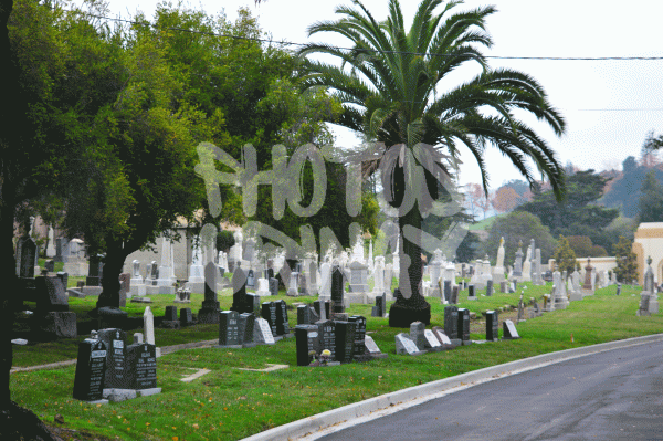 Palm Path Cemetery