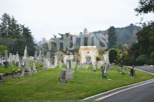 Roadside Graveyard