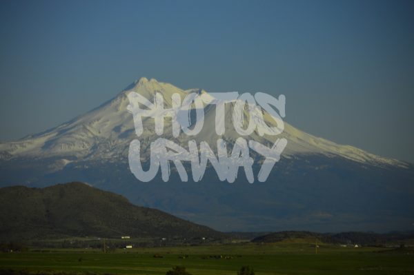 Snowy Mountain Shasta