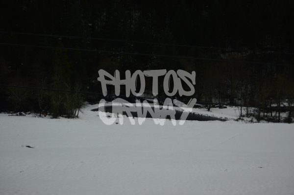 Snow In Pond Shot