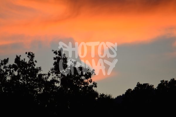 Fiery Sunset Above Trees