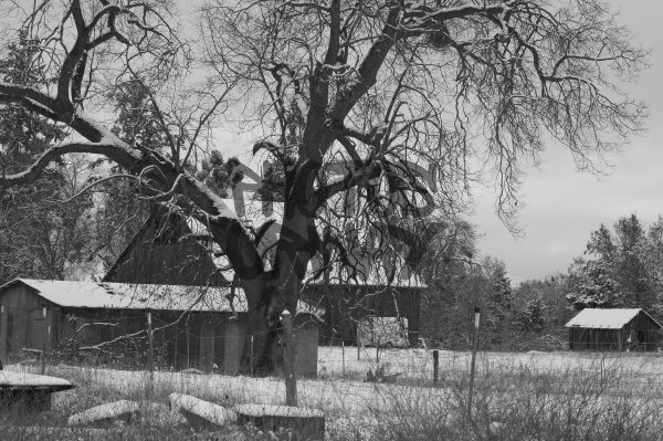 House Covered In Snow