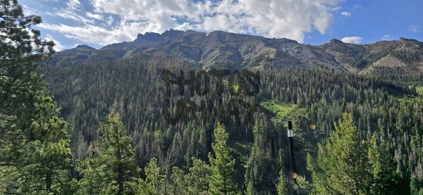 Alpine Meadows