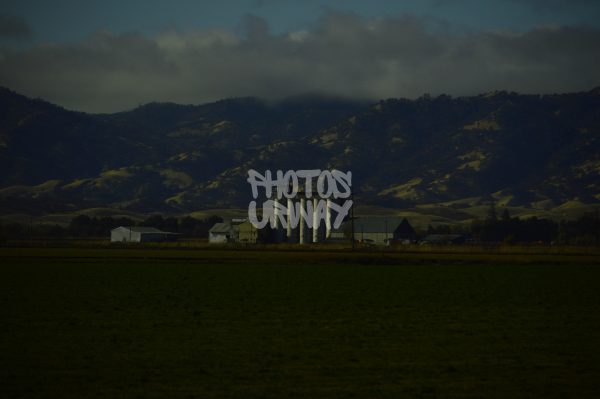 Quiet Giants of the Valley