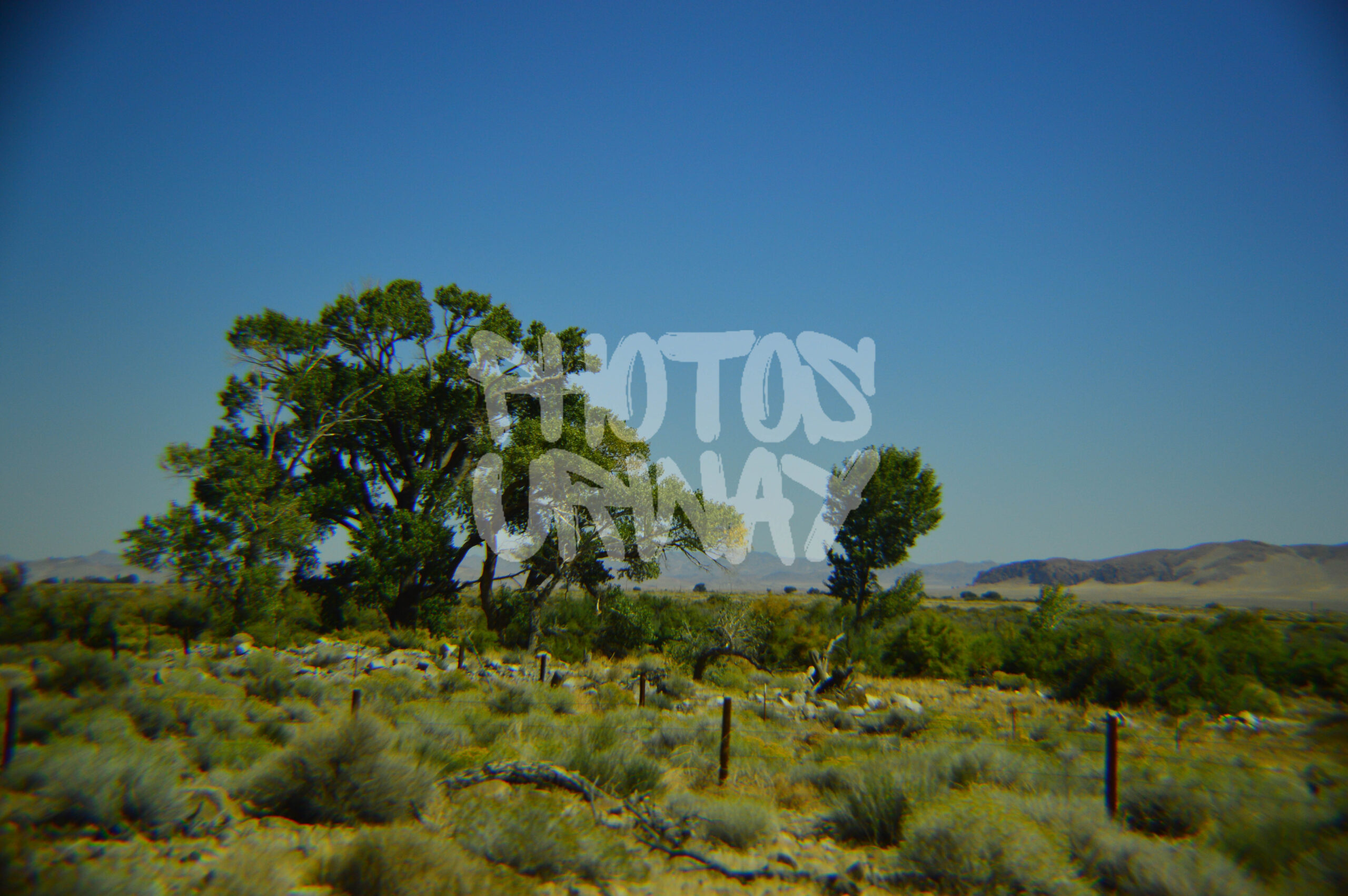 Between Peaks and Plains
