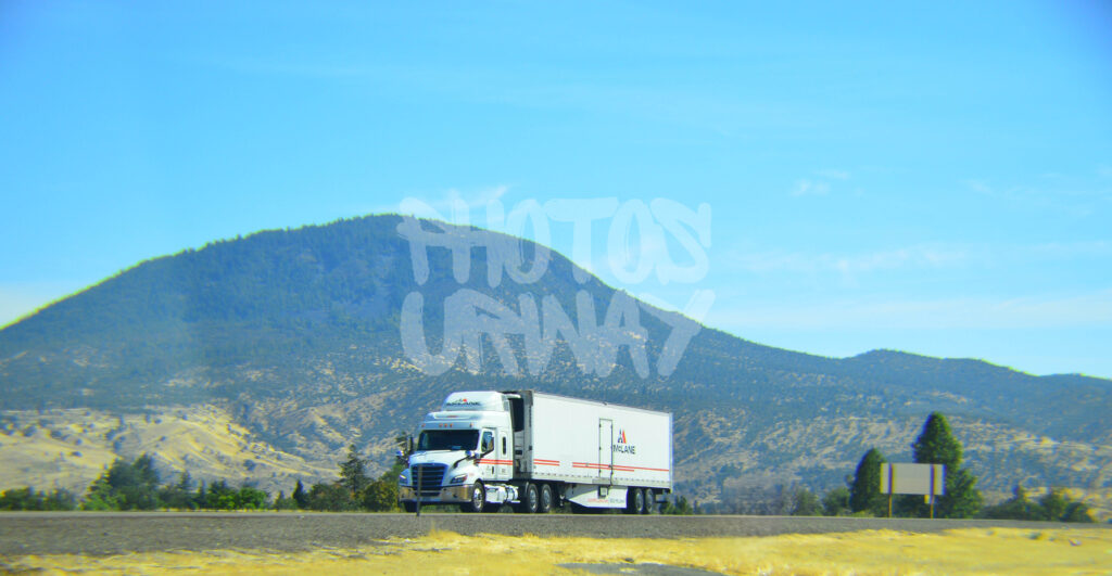 Driven by the Road