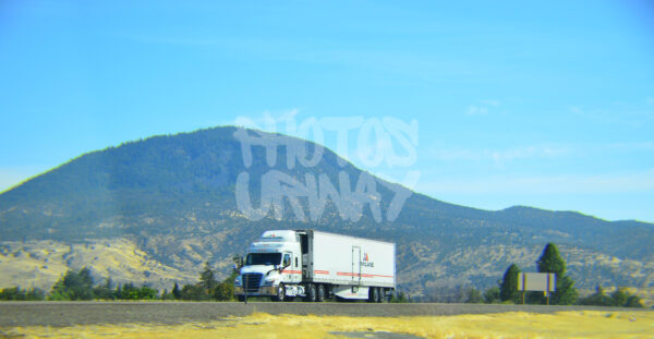 Driven by the Road