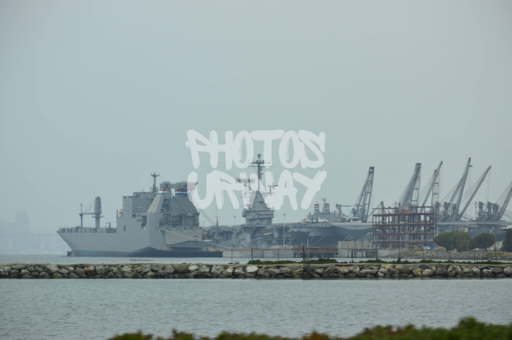 Harbor Giants