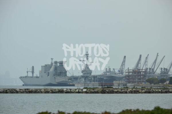 Harbor Giants