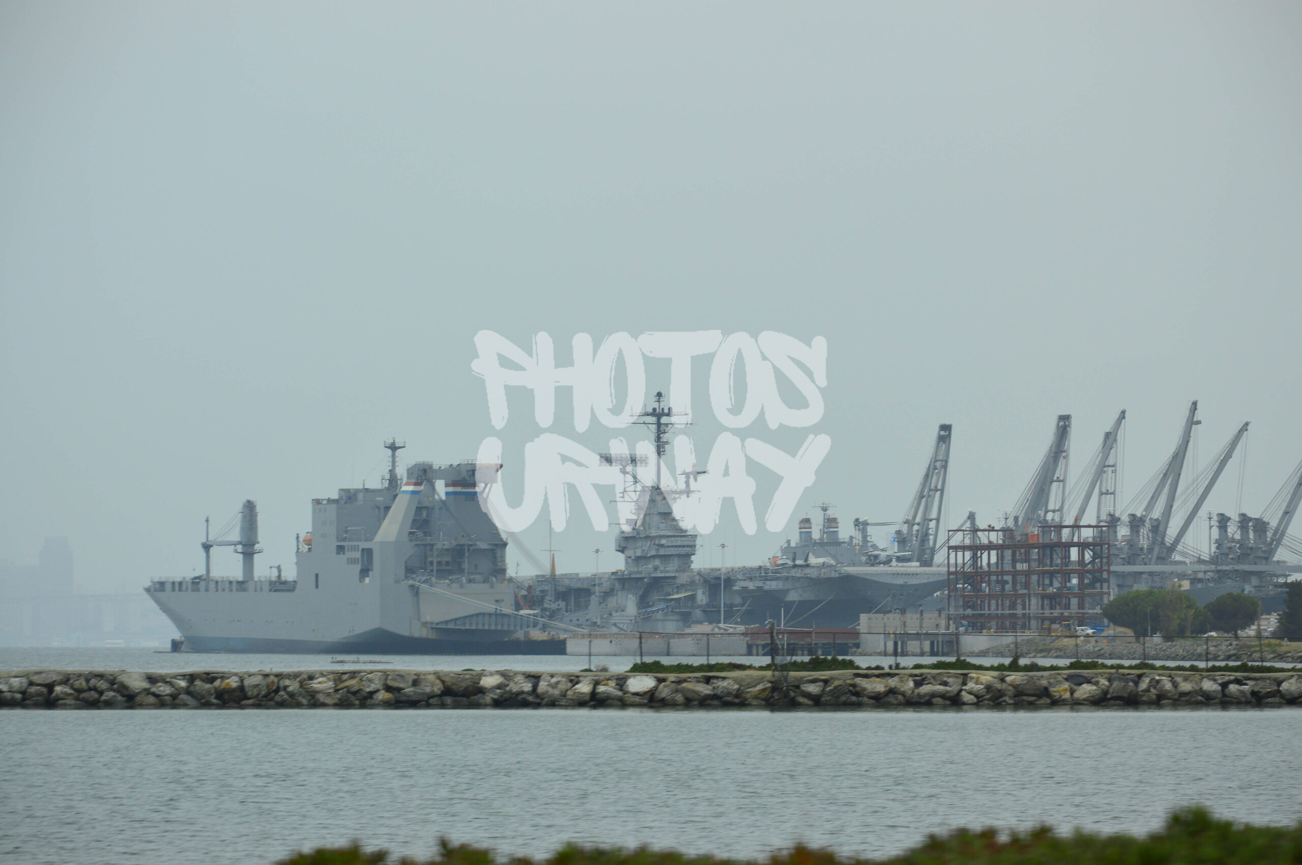 Harbor Giants