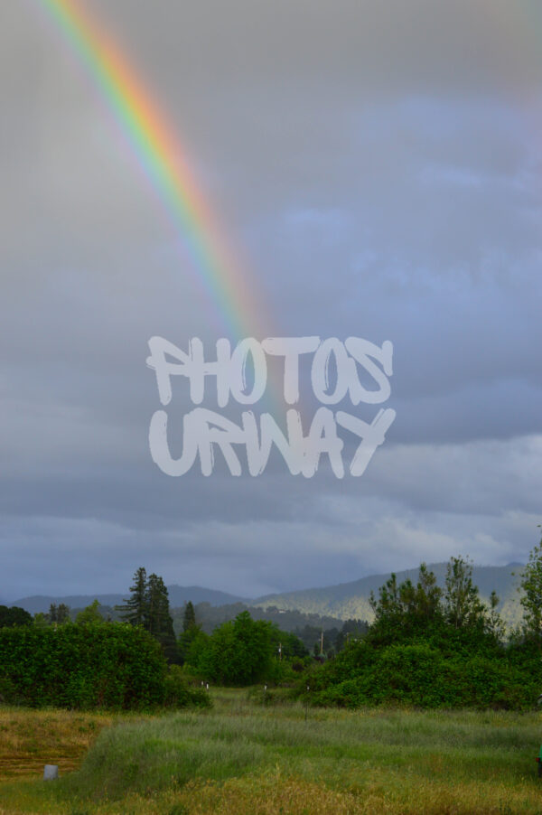 Horizon of Dreams