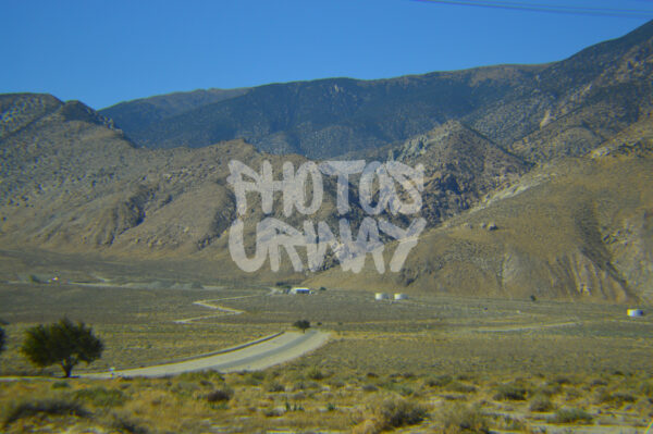 Lonely Desert Trail