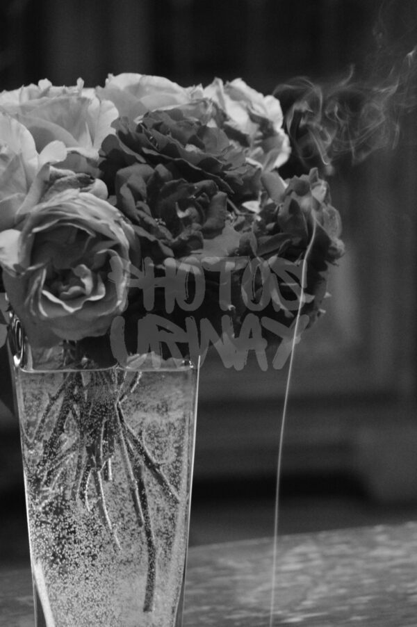 Smoke and Roses