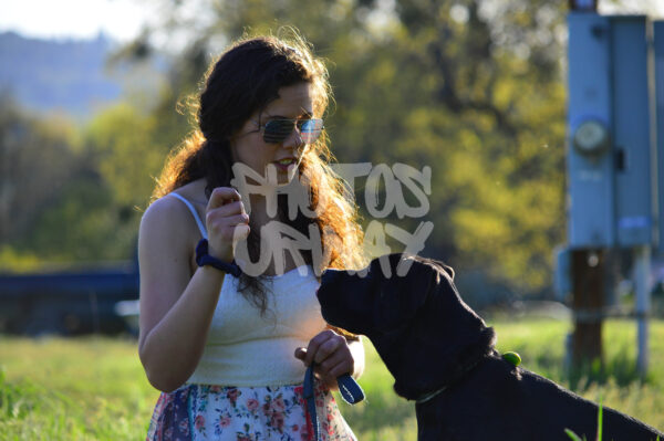 Sunlit Companionship