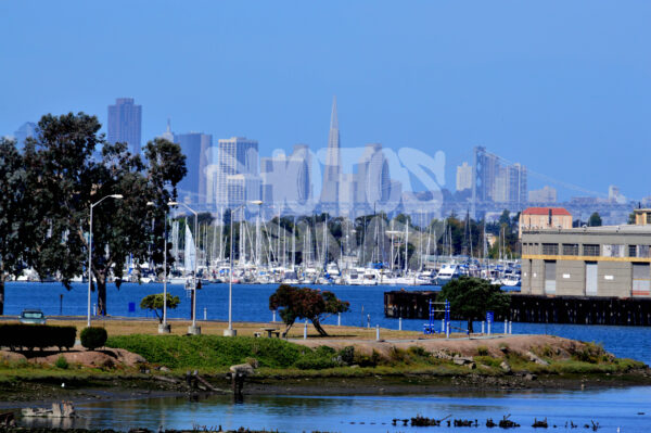 The Heart of the City